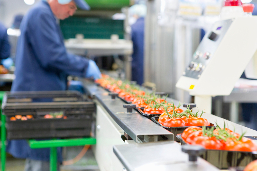 Processed Foods